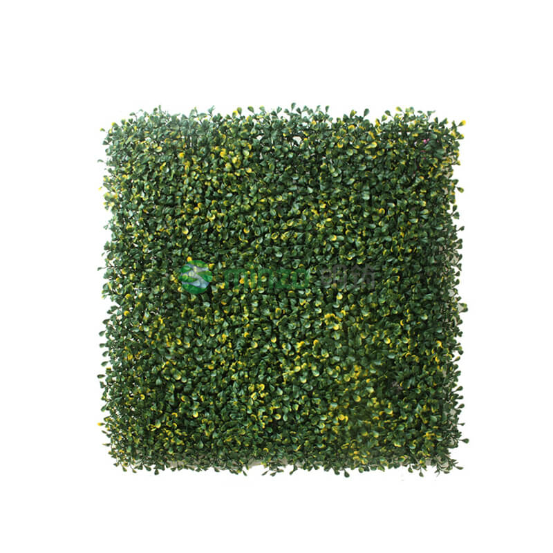 黃綠4層米蘭葉(新網(wǎng))